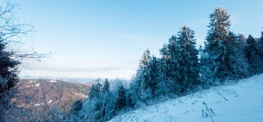 Karla kaplı ağaçlarla kaplı kış manzarası