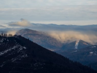Karla kaplı ağaçlarla kaplı kış manzarası