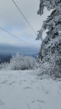 Doğanın güzel manzarası