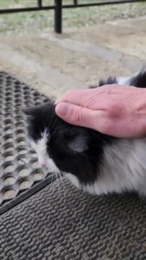 Adam yerde yatıyor..