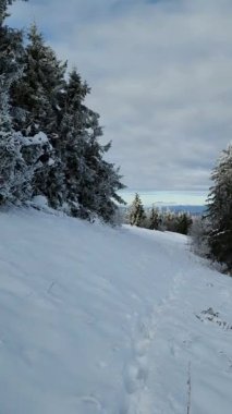 Karlı bir kış manzarası