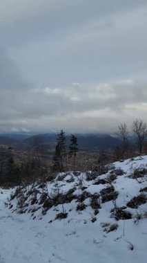 Karla kaplı ağaçlarla kaplı kış manzarası