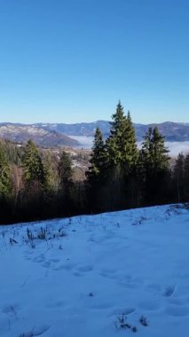 Güzel kış manzara dağ