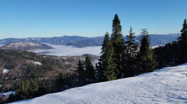 Karla kaplı ağaçlarla kaplı kış manzarası