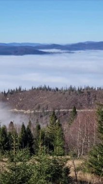 Sisin içindeki dağın manzarası