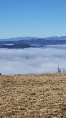 Ukrayna Karpatlarının dağlarının manzarası