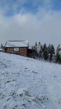 Karla kaplı ağaçlarla kaplı kış manzarası