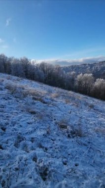 Kar ve ağaçlarla kaplı kış manzarası