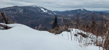 Karla kaplı ağaçlarla kaplı kış manzarası