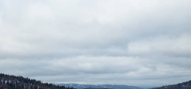 Ağaçlar ve karla kaplı kış manzarası