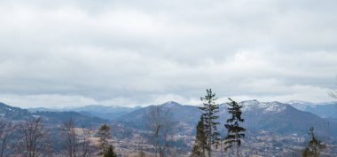 güzel kış dağ manzara ağaçlar ile