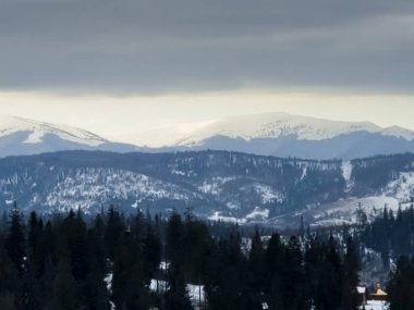 Ukrayna Karpatları 'nın dağları.