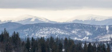 Ukrayna Karpatlarının kış dağları. kar - tepeli zirveler