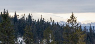 Karla kaplı güzel kış manzarası