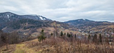 Dağların güzel manzarası ve arka planda orman