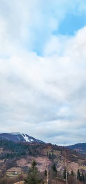 Güzel bir manzara Ağacı ve mavi gökyüzü