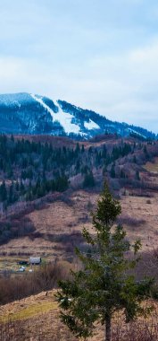 Karla kaplı bir dağın dikey görüntüsü.
