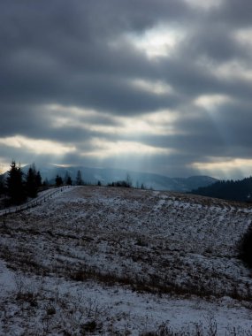 Karla kaplı ağaçlarla kaplı kış manzarası