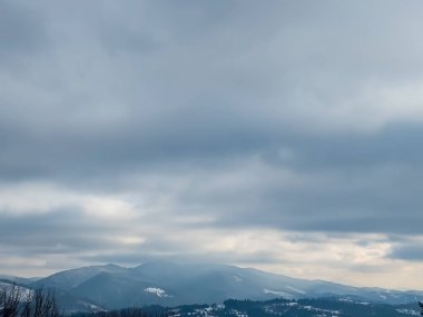 Kışın karla kaplı ağaçlar