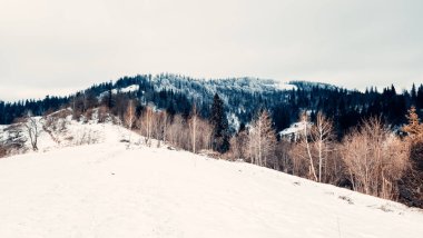 Dağları karla kaplı güzel bir manzara.