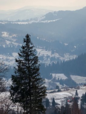 Arka planda ağaçlar olan bir dağdan dikey çekim.