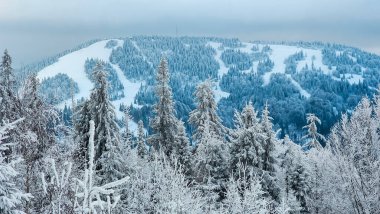 Kar - karla kaplı ağaçlar ve ön planda bir dağ sırası
