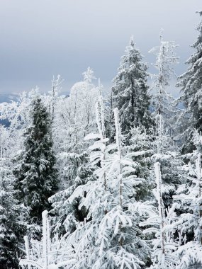 Karla kaplı dağlarda kış manzarası