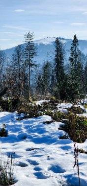 Dağlarda kar ve ağaçlarla kaplı kış manzarası