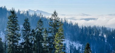 Kış manzarası. Karpat Dağları.