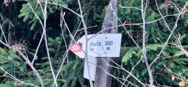 Ağaçtaki yol için işaret.