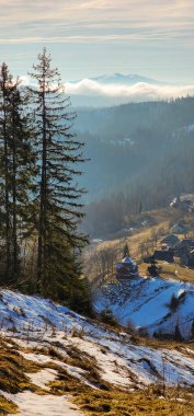 Karla kaplı ağaçlarla kaplı güzel kış manzarası