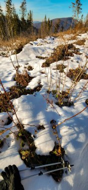 Güzel kış dağ karla kaplı ağaçlar ile manzara.
