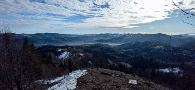 Kar ve ağaçlarla kaplı kış manzarası