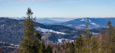 Karla kaplı ağaçlarla kaplı kış manzarası