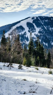 Karpatya dağlarındaki karlı bir dağın dikey görüntüsü.