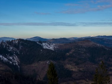 Arka planda ağaç olan bir dağ sırasının dikey görüntüsü