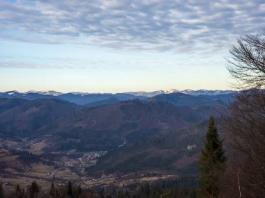 Karla kaplı ormanlı güzel kış manzarası