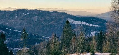 Karpatların dağlarında kış.