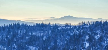 Kışın karlı ve ağaçlı Karpat Dağları