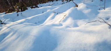 Kar ve ağaçlarla kaplı kış ormanı