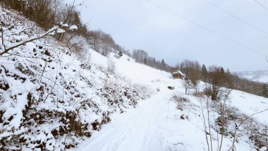 Karla kaplı ağaçlarla kaplı kış manzarası