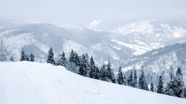 Kış manzara karla kaplı dağ