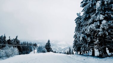 Karla kaplı ağaçlarla kaplı güzel kış manzarası