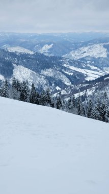 Karla kaplı ağaçlarla kaplı kış manzarası