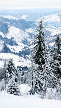 Dağlarda karla kaplı ağaçlarla kaplı kış manzarası