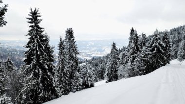 Kar - dağlık yol, kış manzarası, Karpatya dağları, Ukrayna