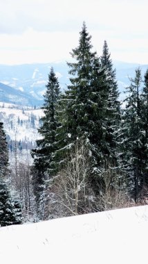 Karla kaplı dağlarda güzel bir kış manzarası