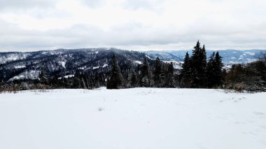 Kar ve ağaçlarla kaplı kış manzarası