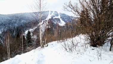 Dağ manzarası. kış dağ ormanları.