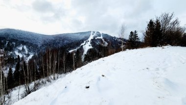Karla kaplı ağaçlarla kaplı kış manzarası